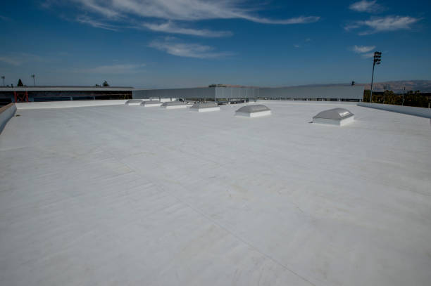 Roof Insulation